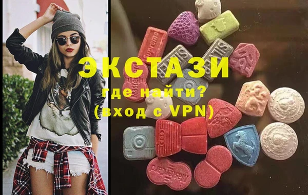 индика Няндома