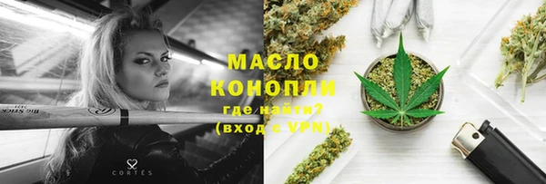 индика Няндома