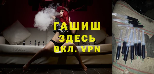 индика Няндома