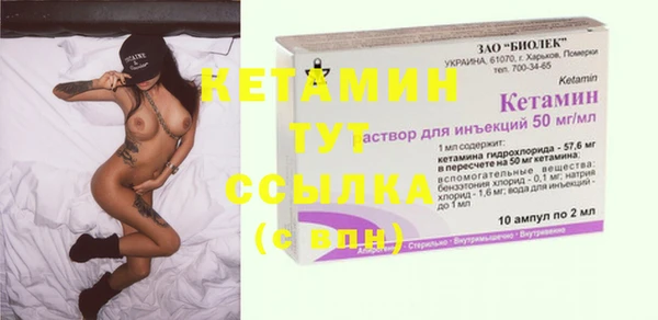 индика Няндома