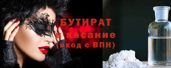 индика Няндома