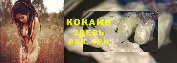 индика Няндома