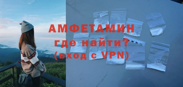 индика Няндома