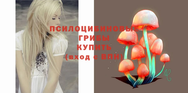 шишки Нягань