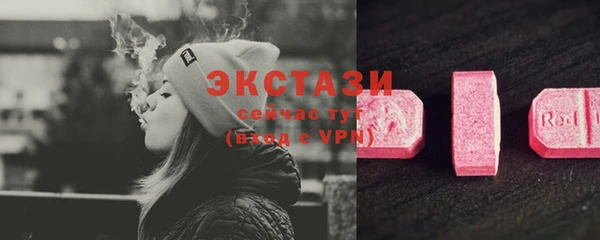 индика Няндома
