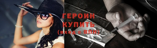 индика Няндома