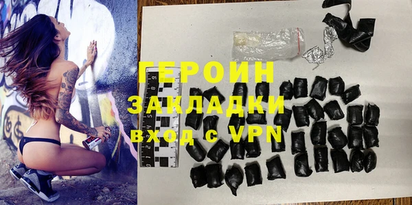 индика Няндома