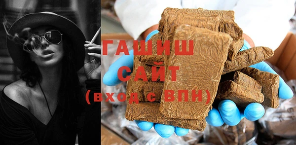 индика Няндома