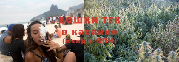 шишки Нягань