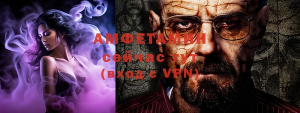 индика Няндома