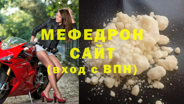 индика Няндома