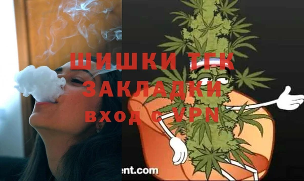 spice Осинники