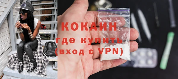 шишки Нягань